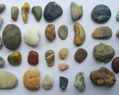 School of Rocks: Minerals, Fossils, Meteorites With Yinan Wang