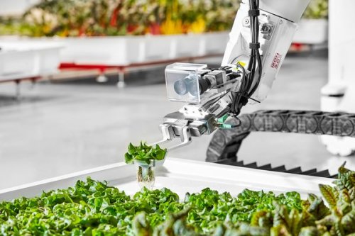 Fresh Produce, Brought to You by Robots