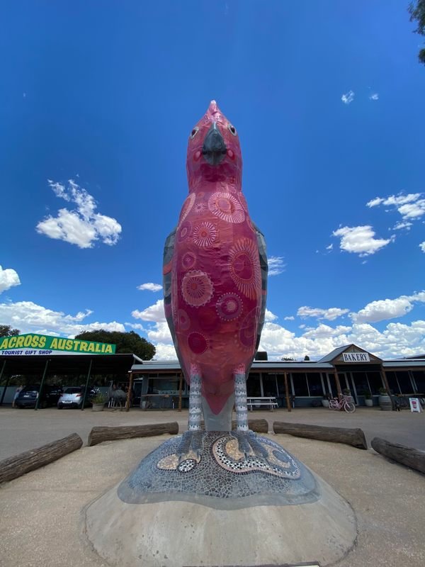 The Big Galah in Kimba