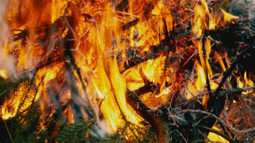 Preventing Wildfires With High Heat And A Little Biomass