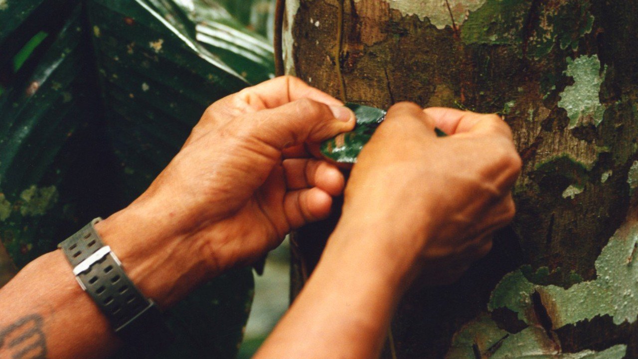 Indigenous Groups Are Safeguarding Culture with Their Own ChatGPT