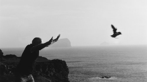 Inside the Icelandic Town Fighting To Save Baby Puffins