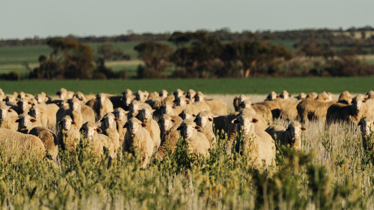 The Ecosystems Woven Into Our Clothes