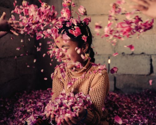 The ancient flower that survived Syria's wars faces a new threat