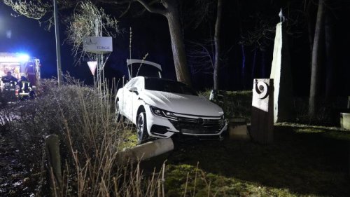 Skulptur zerstört: Autofahrer landet mit 1,3 Promille in Garten eines Bildhauers