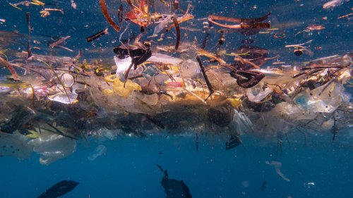 Researchers estimate up to 14 million tonnes of microplastics lie on the seafloor