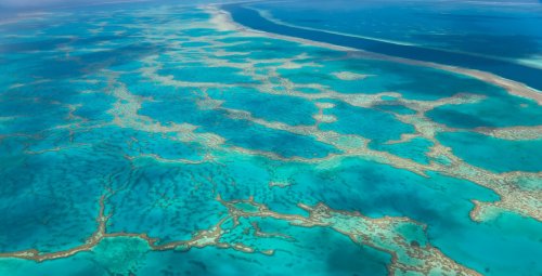 How to plan your Great Barrier Reef holiday