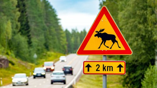 Mega-Bußgeld wegen Tempoverstoß in Finnland: 32 km/h zu schnell - macht 121.000 Euro Strafe