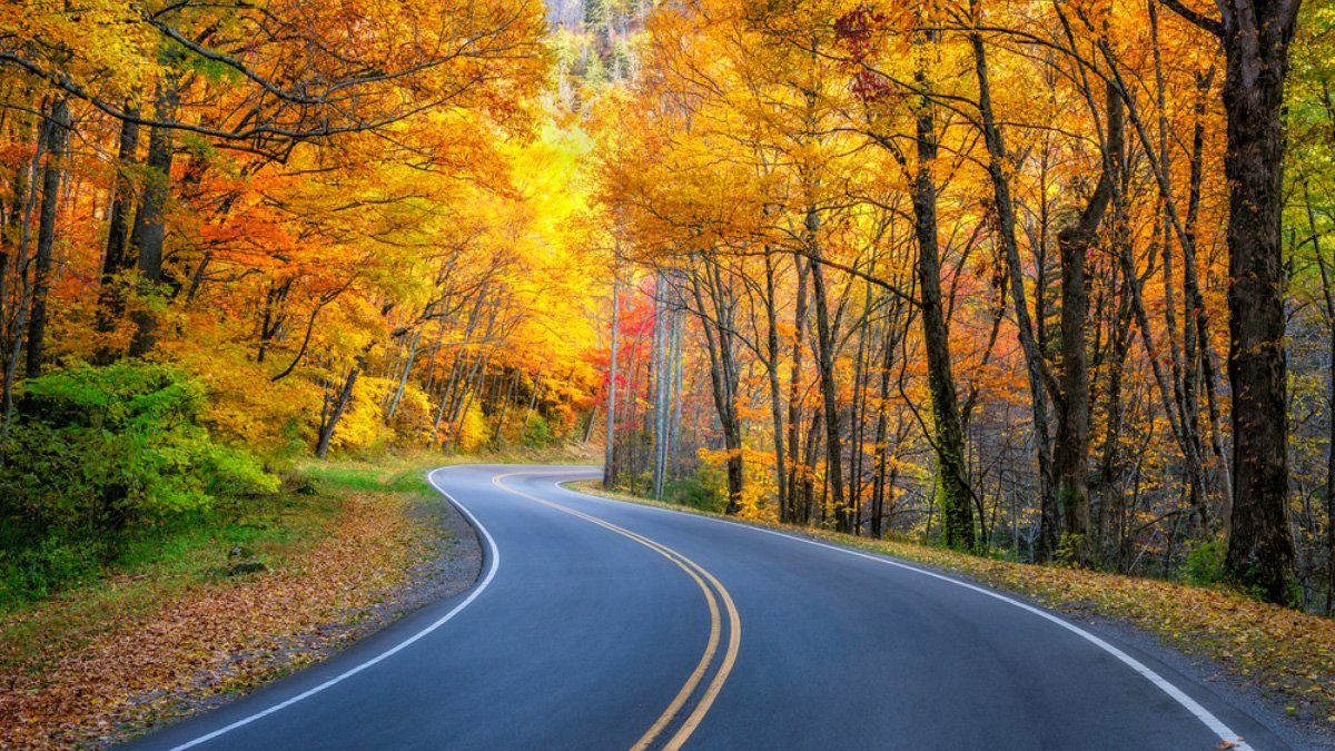 The Most Eye-Popping Fall Road Trips in 2022 - cover