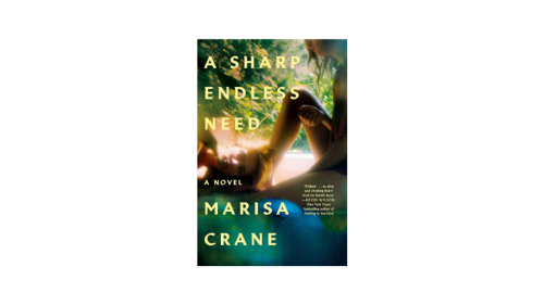 ‘A Sharp Endless Need’ Lives in the Intersection of Sex and Basketball