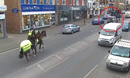 Polizei-Verfolgungsjagd mit dem Pferd: Video | autozeitung.de