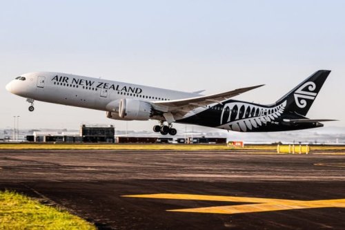 Air New Zealand führt Economy-Schlafkabinen ein