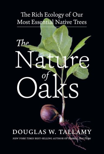 oaks: the most powerful plant of all, with doug tallamy