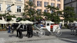 ETIUDA AND ANIMA - 14 – 19 October 2025 Krakow, Poland