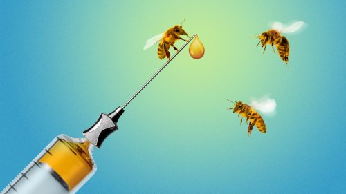 Dalan Animal Health raises $3.6M for honeybee vaccine