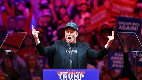 Trump announces Musk will lead new Department of Government Efficiency