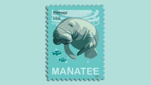 "Save the Manatee" stamp raises awareness for Florida's sea cows
