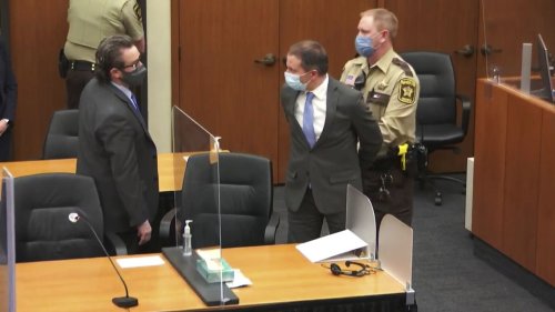 MAGA figures fuel idea of Derek Chauvin pardon