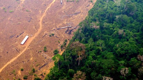 More than one-third of the Amazon forest is degraded, study says