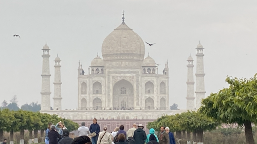 Highlights from one Seattleite's trip to India