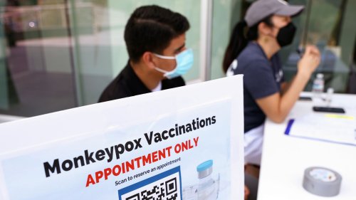 CDC updates monkeypox guidance after dog tests positive for virus