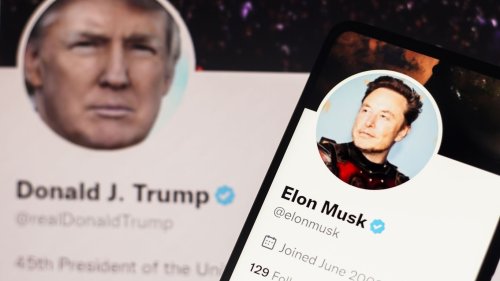"End of story": Elon Musk responds to Trump's "Twitter Files" reaction
