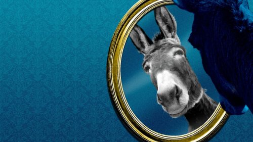 The Democrats' 10 theories driving the party's crisis