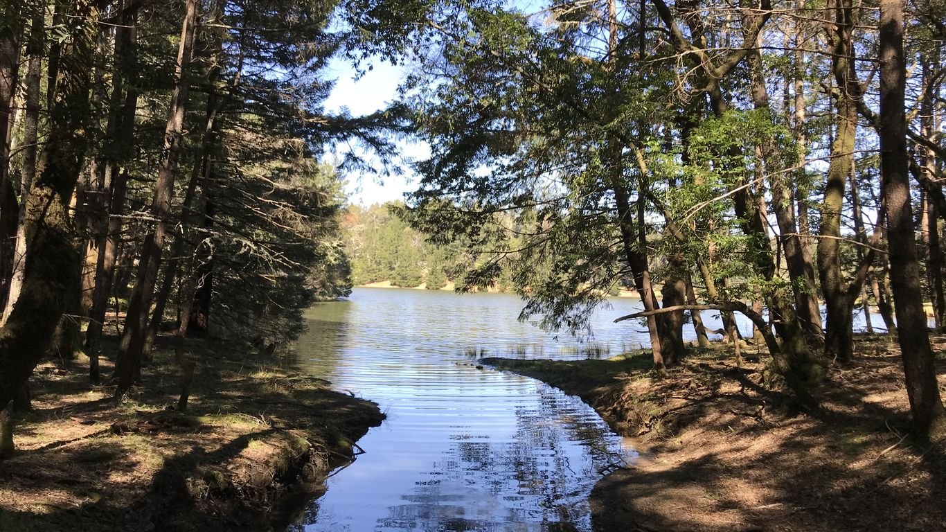 5 Marin hikes for San Franciscans obsessed with the outdoors