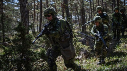 Finland and Sweden bring military might to NATO