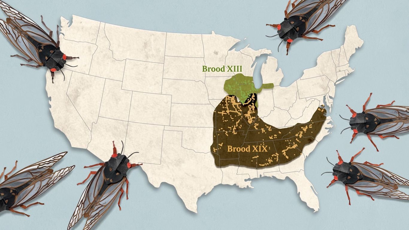 The 2024 Cicadapocalypse won’t be as apocalyptic as you think