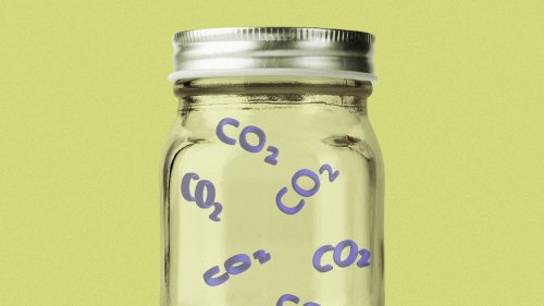 How carbon removal might scale up, and what could go wrong