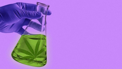 Hemp-derived THC: The "junk food" of cannabis?
