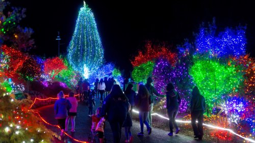 Seattle's 2022 holiday lights guide