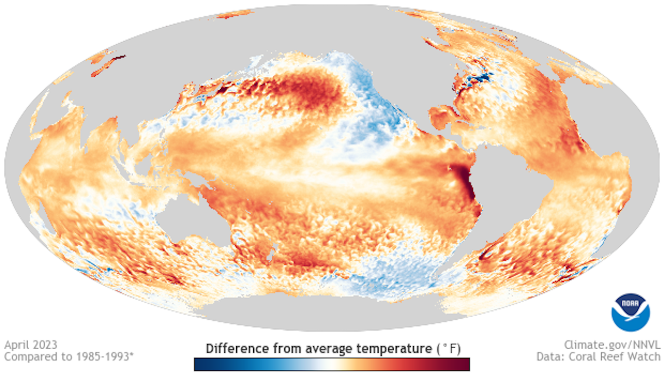 El Niño forming quickly and could be "significant" event, NOAA finds