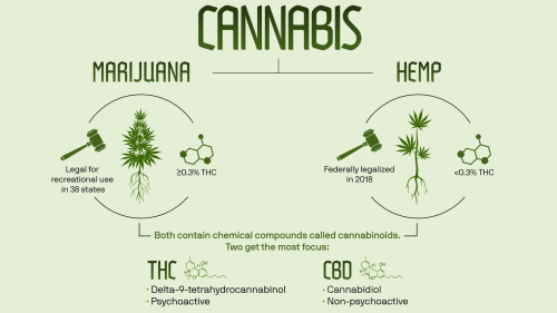 In the weeds: Where marijuana is legal and for what use