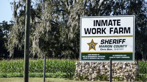 The prison labor you benefit from
