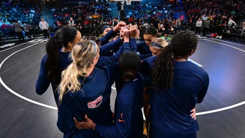Your guide to the new Indiana Fever players