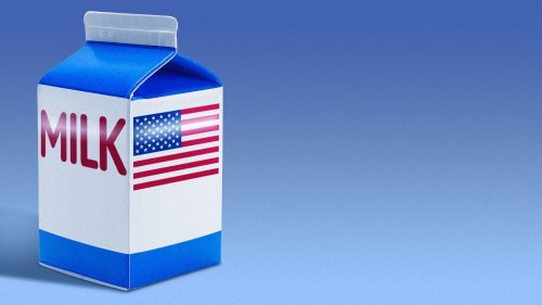 Whole milk is back — and now in baby formula
