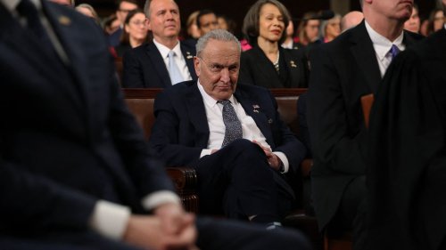 "Big mad": Inside House Democrats' private anti-Schumer vent sessions