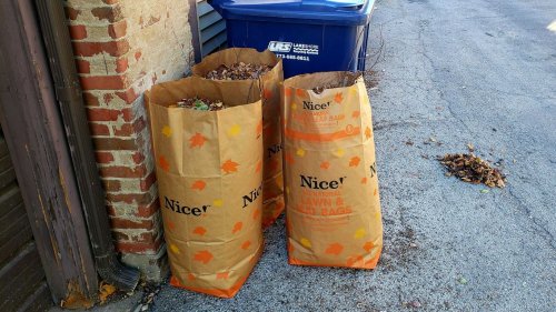 Chicago picking up less yard waste despite more resident requests