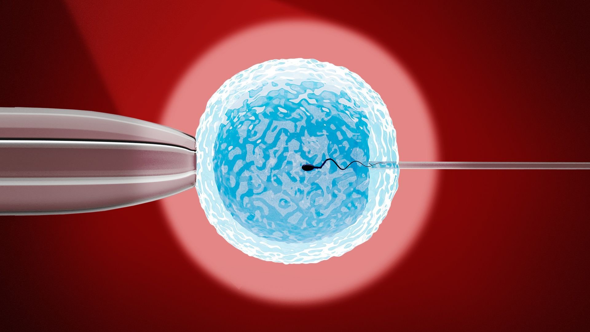 Conservatives struggle to find coherent message on Alabama IVF ruling