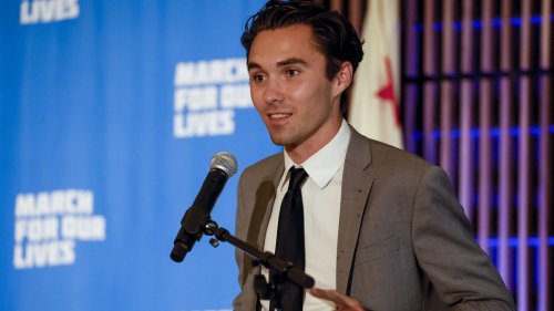 DNC takes step towards ousting David Hogg as vice chair
