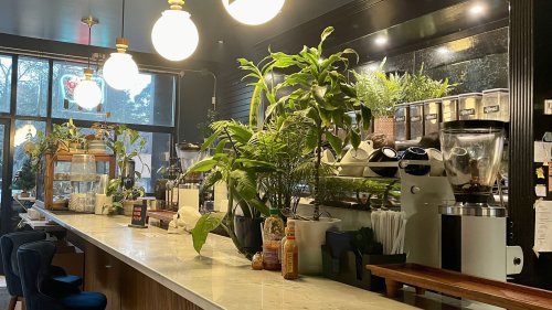 The best coffee shops for remote work in Raleigh, Durham and Chapel Hill