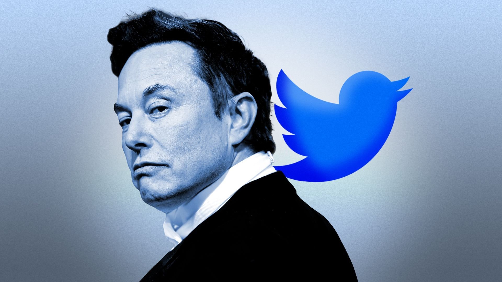 At Elon Musk's Twitter, speech is anything but free