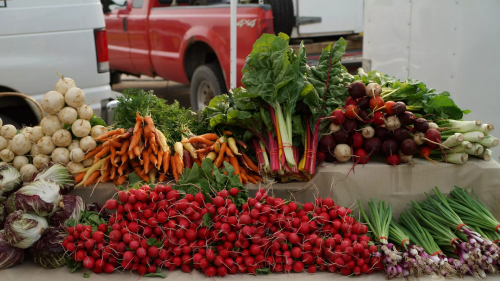 5 Twin Cities farmers markets to visit this May