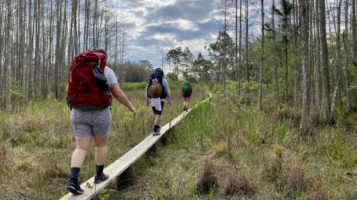 The best winter hikes in Florida