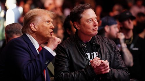 Musk, top Trump adviser have "massive blow up" over Cabinet picks