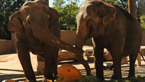 7 Things To Do In Denver This Weekend Oct 6 9 Flipboard