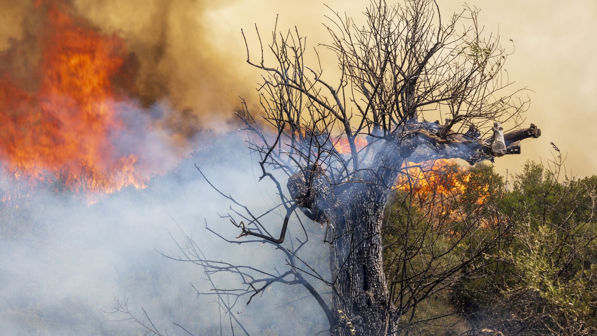 Extreme heat events set new records on multiple continents