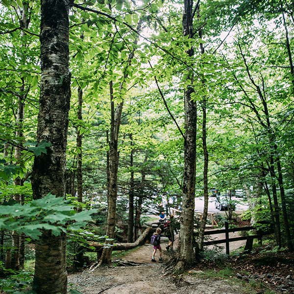 The Appalachian Trail – You Don’t Have To Thru-Hike